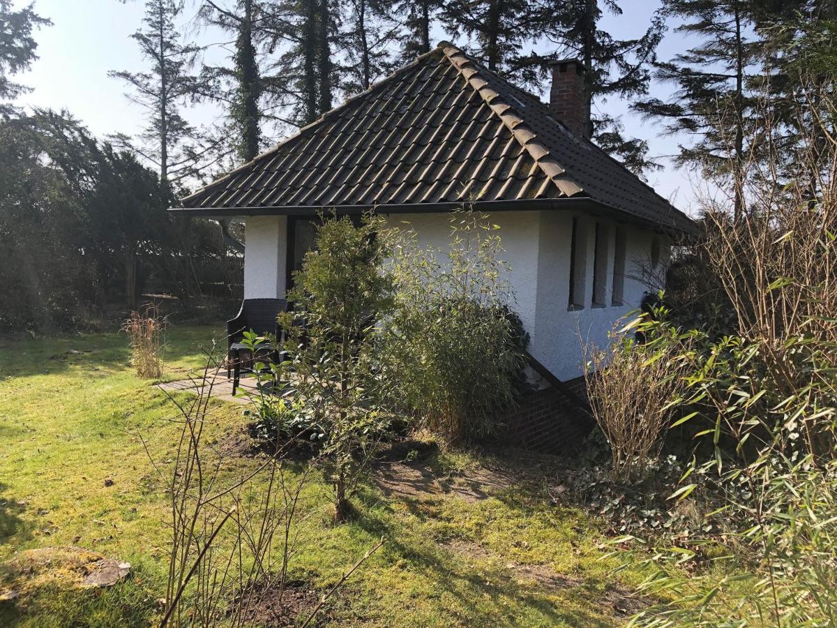 Kleiner Wattprinz Nebel Buitenkant foto